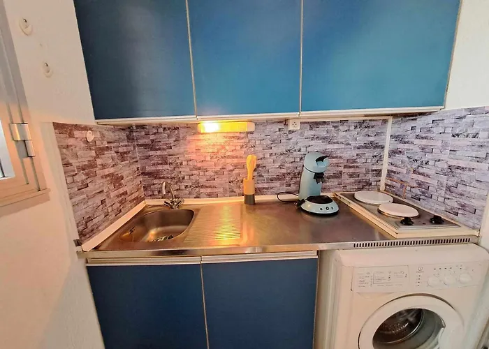 Apartamento Mezzanine 6 Pers, Animaux, Parking, Vue - Fr-1-326-870